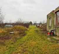 Overgrown residential plot in Pribeta with a dilapidated building and natural elements.