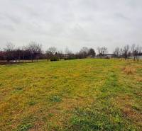 A spacious plot for living in Pribeta, ideal for building a family house.