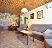 Living room in a family house with a sofa, carpet, wooden ceiling, and wall photo wallpaper.