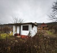 Abandoned cottage in Vinice in Nána, surrounded by neglected vegetation and trees.