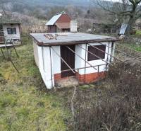 A vineyard in Nán with a small cottage surrounded by grass and trees in the background.