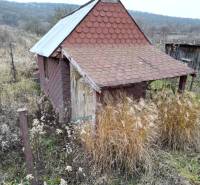 A cottage in overgrown vineyards near Nána, surrounded by nature and vegetation.