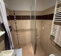 A bathroom of a two-room apartment with a shower and beige tiles.