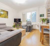 Living room in a 2-room apartment with a sofa and a wooden decor floor.