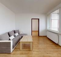 Living room in a 4-room apartment with a sofa and a wooden decor floor.