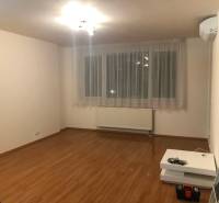 Living room in a two-room apartment with a wooden decor floor and air conditioning.