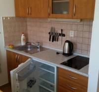 Kitchen unit with a cooktop, open refrigerator, and storage space in a recreational apartment.
