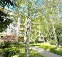 An apartment building on Palárikova Street in Senica surrounded by greenery and trees.