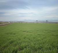A field with a real estate sign in Spišské Tomášovce for building a family house, with a view of the mountains.