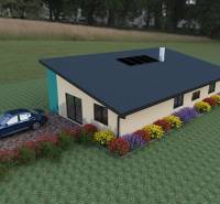 A family house in Spišské Tomášovce with a car, surrounded by colorful flowers and a manicured lawn.