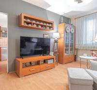 Living room in a 4-room apartment with access to the kitchen, wooden decor flooring.