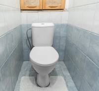 A bathroom in a 4-room apartment with blue tiles, a white toilet, and a cabinet above it.