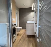 A bathroom in a 3-room apartment with a washing machine, shower, and a floor with a wooden decor.