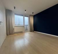 A room in a 3-room apartment with a dark wall and a floor with a wood decor.