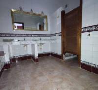 A bathroom in a family house with two sinks, a mirror, and a tiled wall.