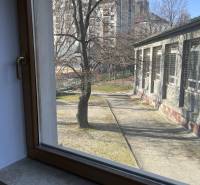 View from the office onto Fazuľová Street in Bratislava - Old Town, tree, sidewalk.