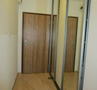 A hallway in a 2-room apartment with a wooden decor floor and a built-in wardrobe.