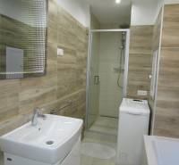 Bathroom with wood-patterned flooring, shower corner, and washing machine in a 2-room apartment.