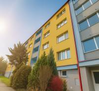 Apartment building on Palárikova Street in Senica with a colorful facade and greenery.
