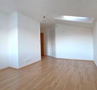 Interior of a family house with white walls, wood-patterned flooring, and a skylight.