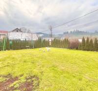 A lawn with greenery and sheep in the garden of a family house in Predmier, Turzovka.