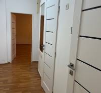 A hallway in a 2-room apartment with a wooden decor floor and white doors.