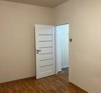 A room in a 2-room apartment with a wooden decor floor and closed white doors.