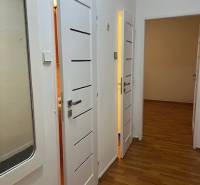A hallway in a 2-room apartment with a wooden decor floor and white doors.