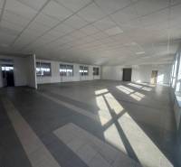 Spacious commercial spaces with large windows and a simple design floor.