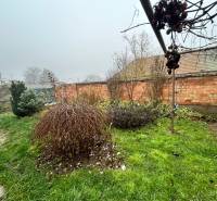 The garden of a family house on Bešeňovská Street in Dvory nad Žitavou with a lawn and shrubs.