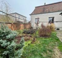 The garden next to the family house on Bešeňovská Street in Dvory nad Žitavou with a lawn and shrubs.