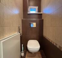 A toilet with brown-toned tiles and a floor with a wood decor in a 2-room apartment.