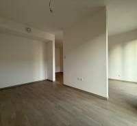 An empty room in a 2-room apartment with wood-patterned flooring and white walls.