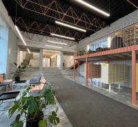 Interior with wood-patterned flooring, stairs, mailboxes, and plants in a studio apartment.