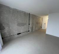 Studio apartment with concrete wall and floor, bright minimalist interior.