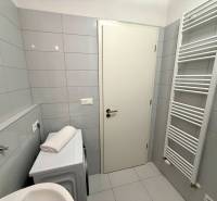 A bathroom in a studio apartment with a washing machine, light tiles, and a ladder radiator.