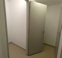 Hallway with white walls and three doors in a one-room apartment.