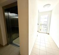 A hallway with an elevator and large windows in a studio apartment.