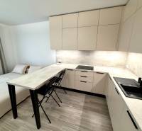 A kitchen with a bed in a studio apartment with a wood-patterned floor.