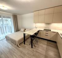 Interior of a 1-room apartment with a kitchenette, bed, and wooden decor flooring.