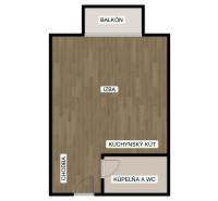 Floor plan of a one-room apartment with an entrance hallway, room, kitchenette, and balcony.