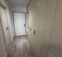A hallway with white doors and built-in wardrobes, a floor with a wood decor in a studio apartment.