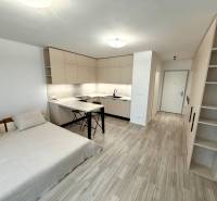 A studio apartment with a kitchenette, bed, wood-patterned flooring, and a built-in wardrobe.