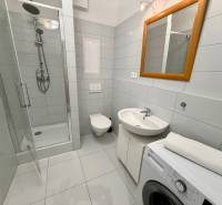 A bathroom in a studio apartment with a sink, toilet, shower, and washing machine.