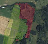 Sale Agrarian and forest land, Agrarian and forest land, Liptovský Mik