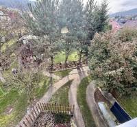 The garden of a family house in Nesluša with a walkway, trees, and a gazebo.