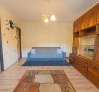 Living room in a three-room apartment with a wooden decor floor and a wooden living room wall unit.