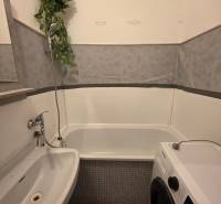 A bathroom in a 3-room apartment with a bathtub, sink, washing machine, and a live plant.