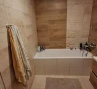 A bathroom in a 3-room apartment with a bathtub, tiled with wood decor.