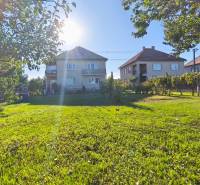 The garden of a family house in Čebovce surrounded by trees and neighboring houses.